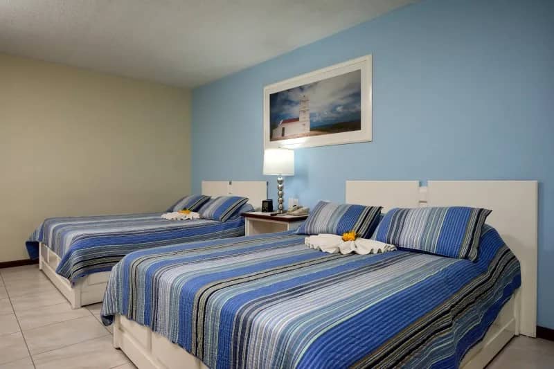 Deluxe Ocean View - image