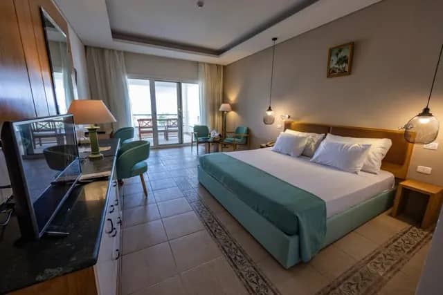 Superior Room - image