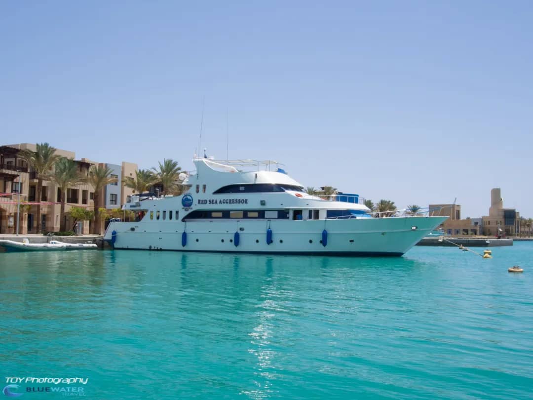 Liveaboards in Egypt (Red Sea)