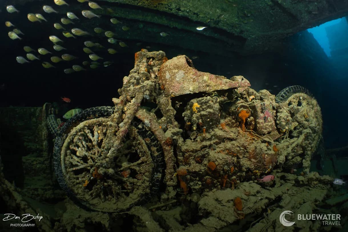 Red Sea 2025 Trip Recap - image