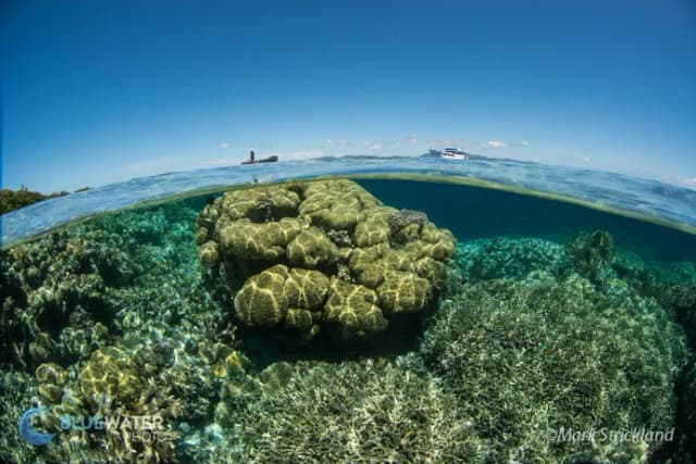 Ultimate Solomon Islands Liveaboard Trip 2026