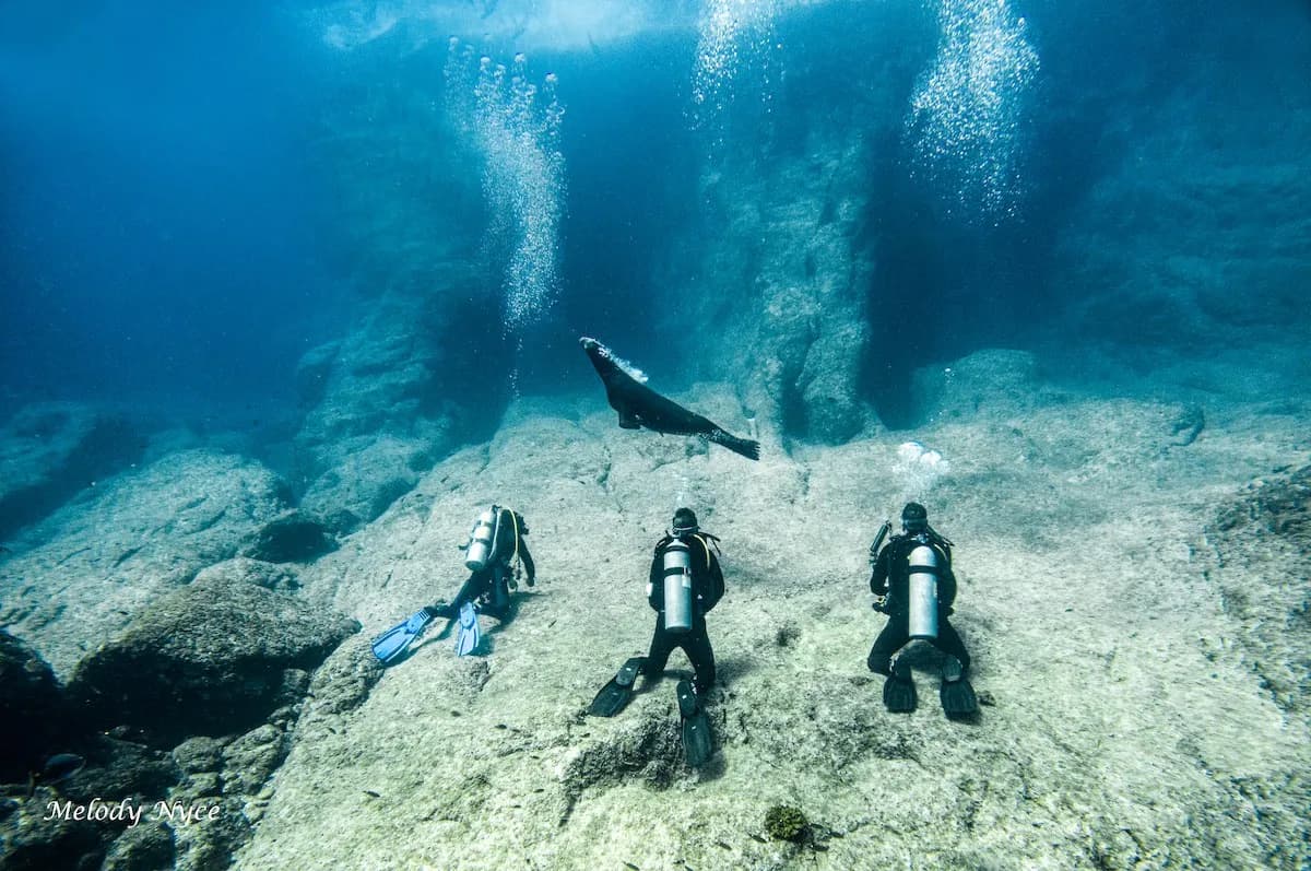 No alternative text provided