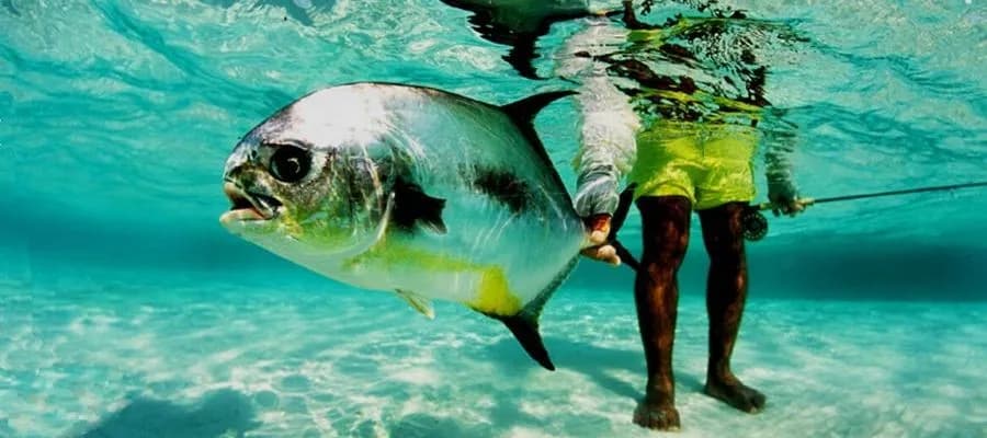 Turneffe Flats - image