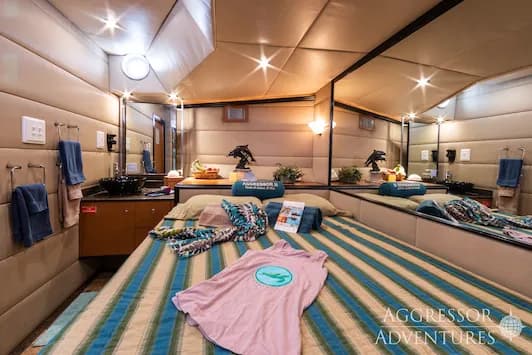Turks & Caicos Aggressor II Master Cabin - image