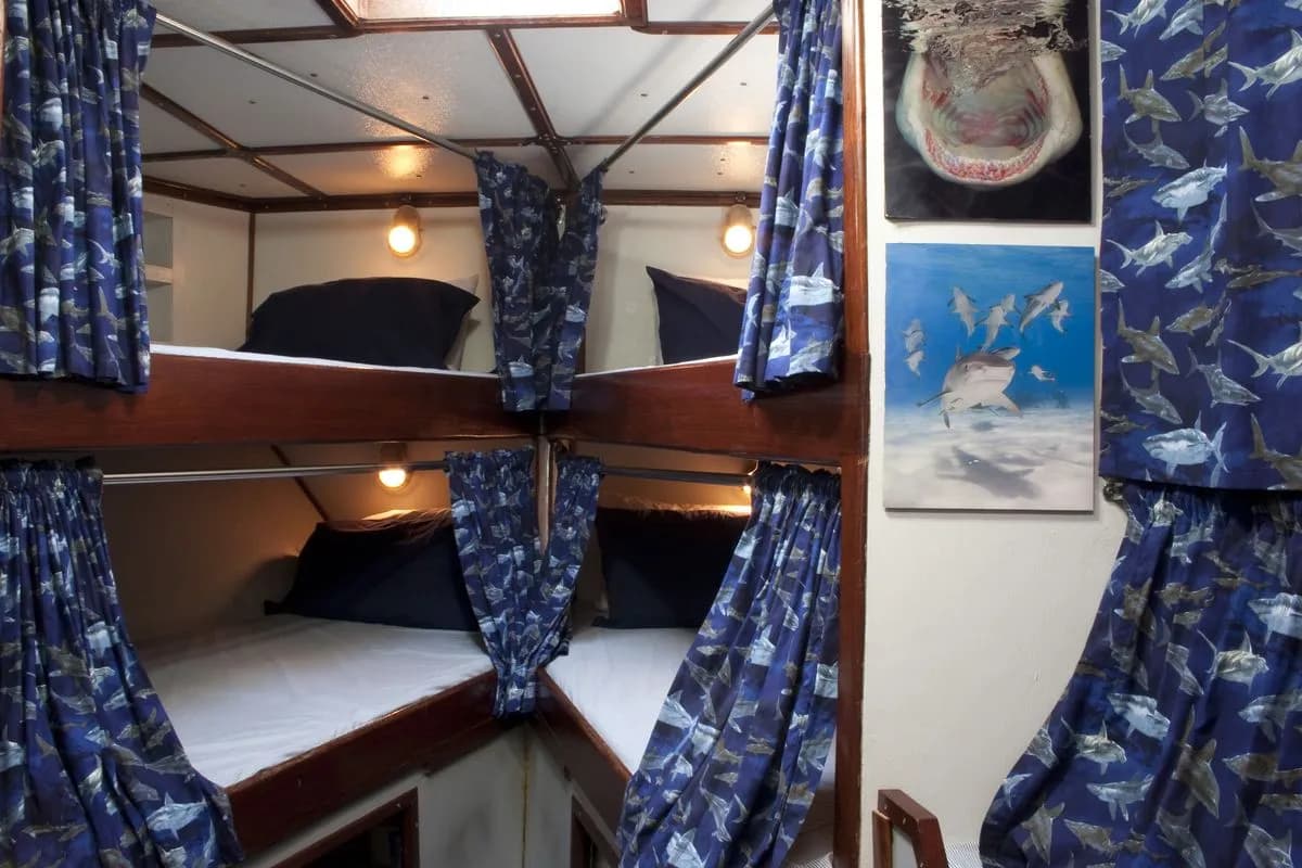 V-Berth Bunk Beds - image