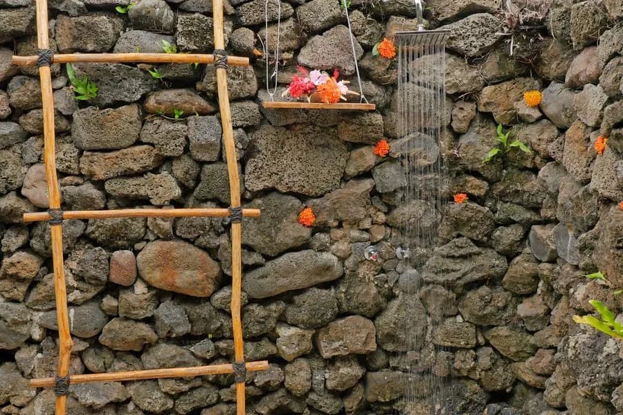 No alternative text provided