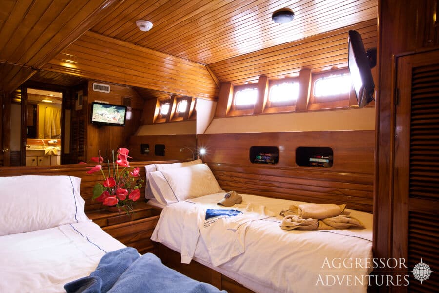 Deluxe Stateroom Lower Deck - image