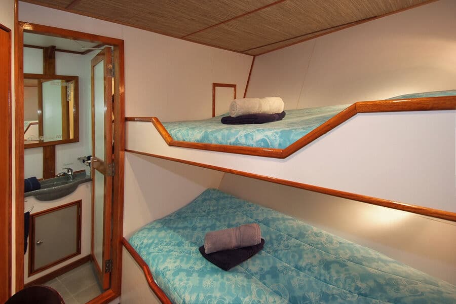 Deluxe Lower Deck - image Deluxe Lower Deck - image