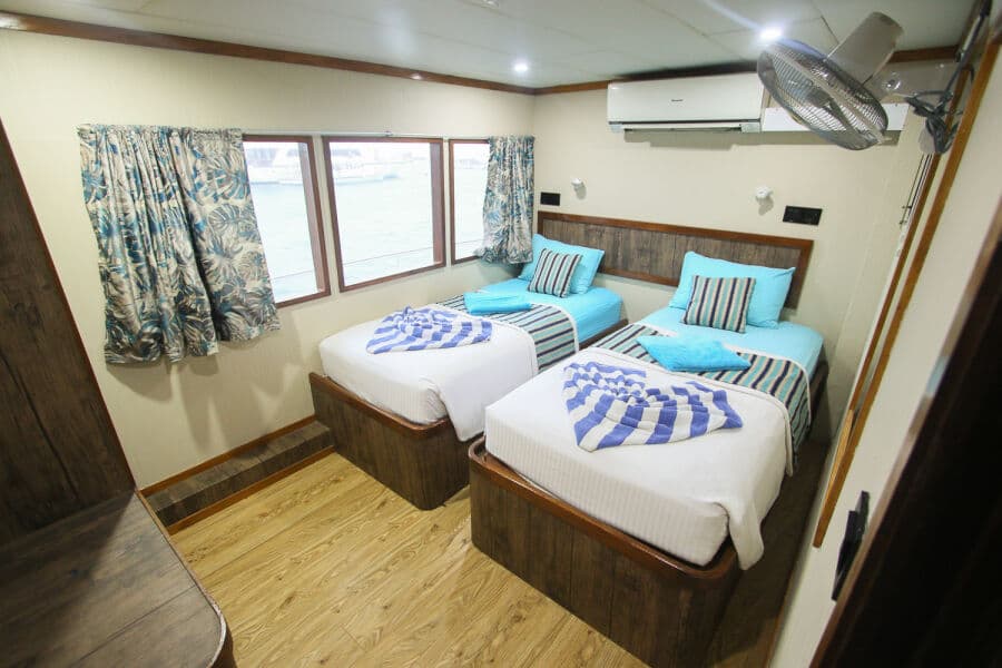 Twin Main Deck - image