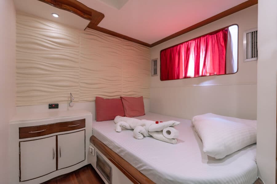 Double Lower Deck - image