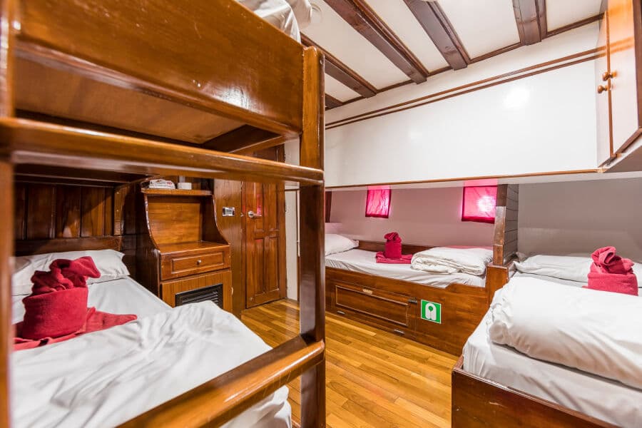 Classic Quad (Cabins 6 & 7) Lower Deck - image