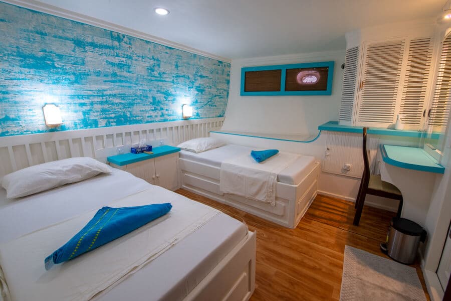 Standard Twin Lower Deck - image