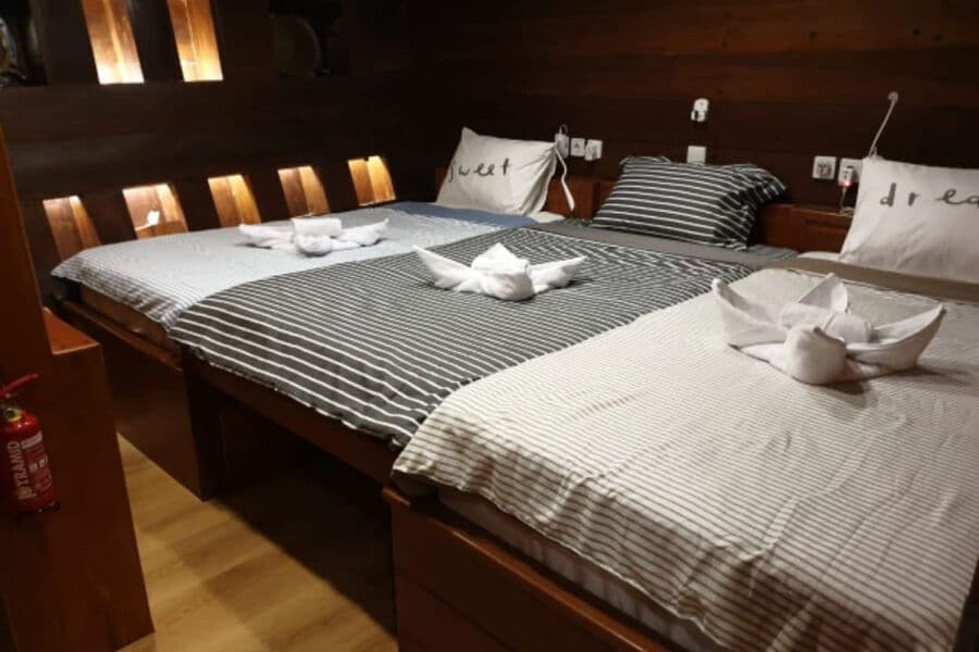 Twin Share (Twin Beds/Double Bed Convertible) + Single Bed Lower Deck - image