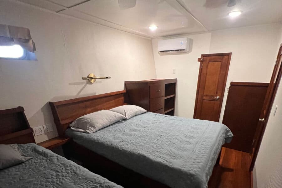 Standard Lower Deck - image