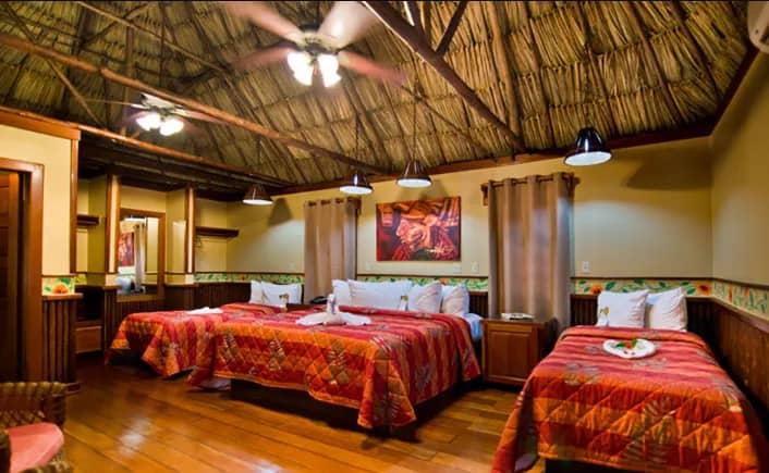 Jungle Standard - image Jungle Standard - image