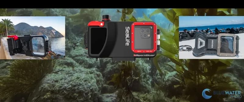 Using a Smartphone for Underwater Photography - image Using a Smartphone for Underwater Photography - image