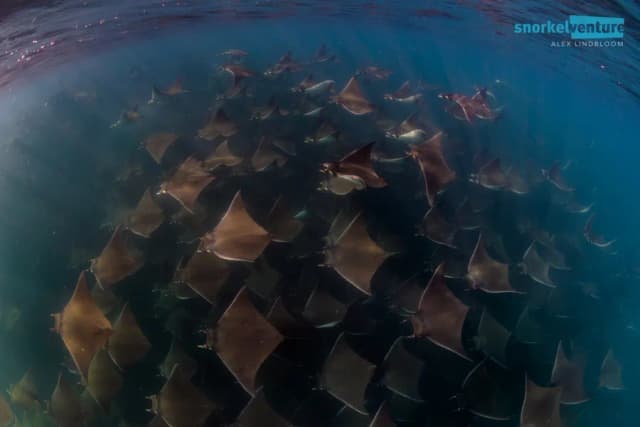 Meet the Pacific Fleet Meet the Pacific Fleet