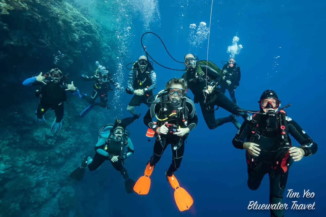 Learn to Dive with Bluewater Travel - image Learn to Dive with Bluewater Travel - image
