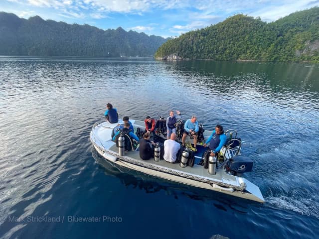 Raja Ampat Dive Season Explained Raja Ampat Dive Season Explained