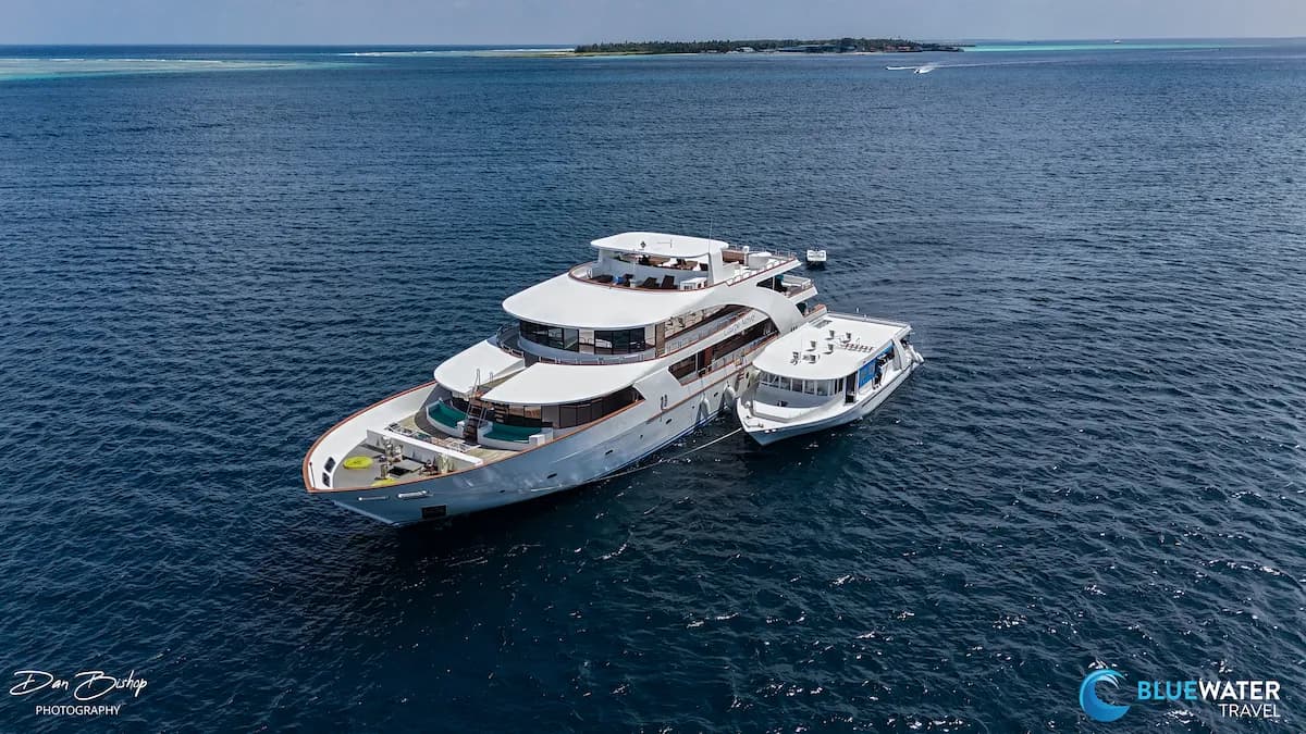 Liveaboard Seasickness Survival Guide - image Liveaboard Seasickness Survival Guide - image