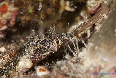 Cebu And Bohol - image Cebu And Bohol - image