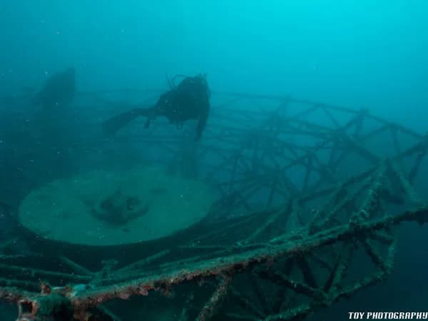 Best Scuba Diving in Florida - image Best Scuba Diving in Florida - image