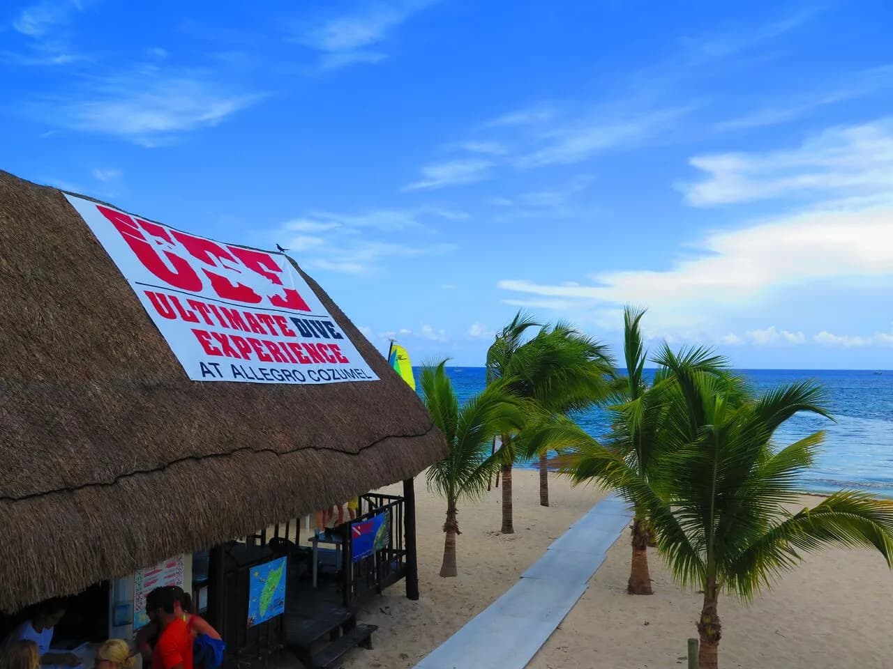 Pro Dive International - image Pro Dive International - image