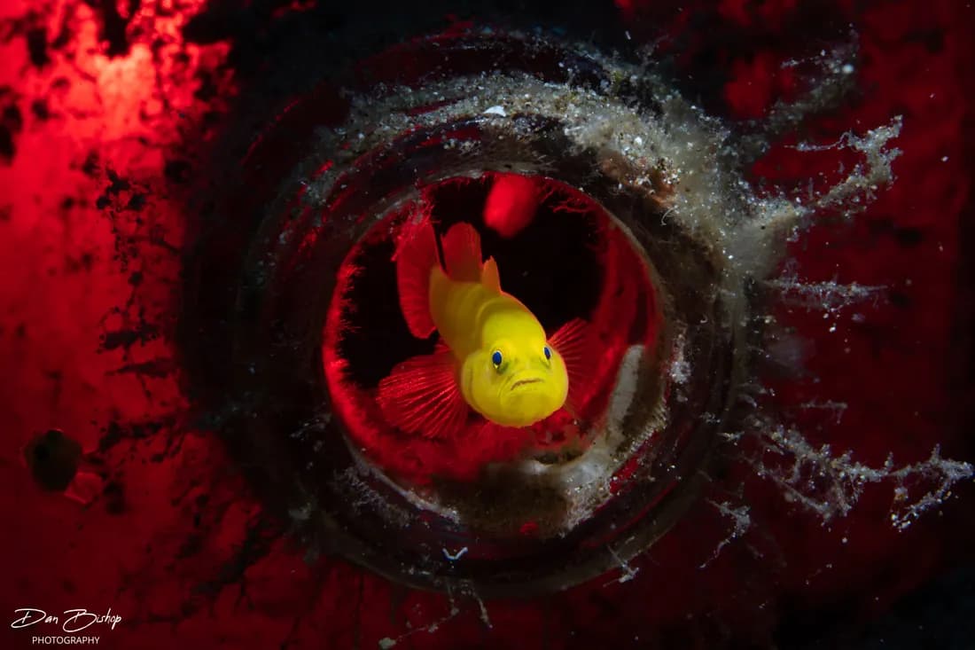 No alternative text provided No alternative text provided