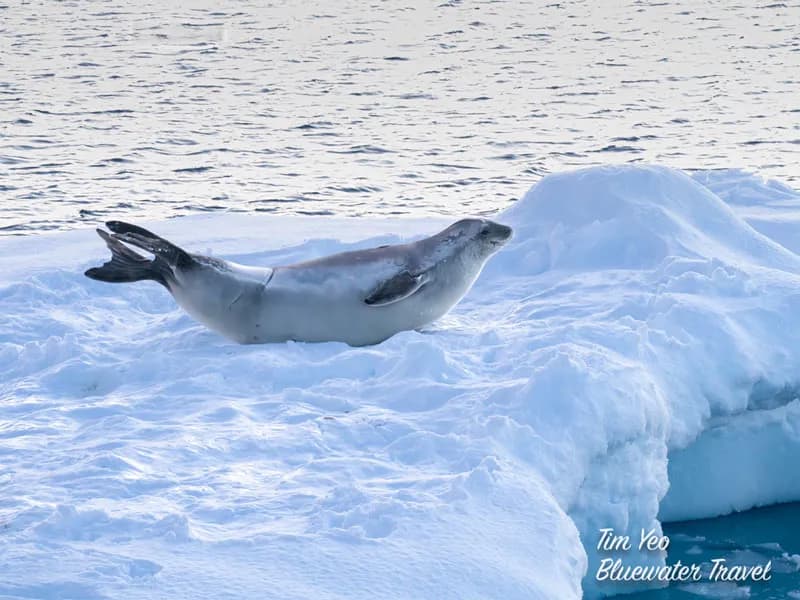 Carousel - image Carousel - image