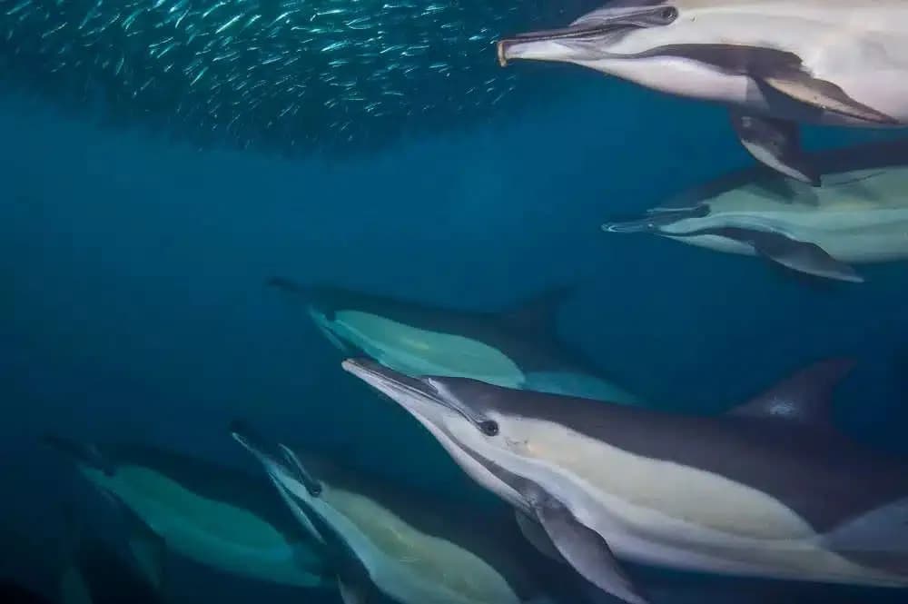 Carousel - image Carousel - image