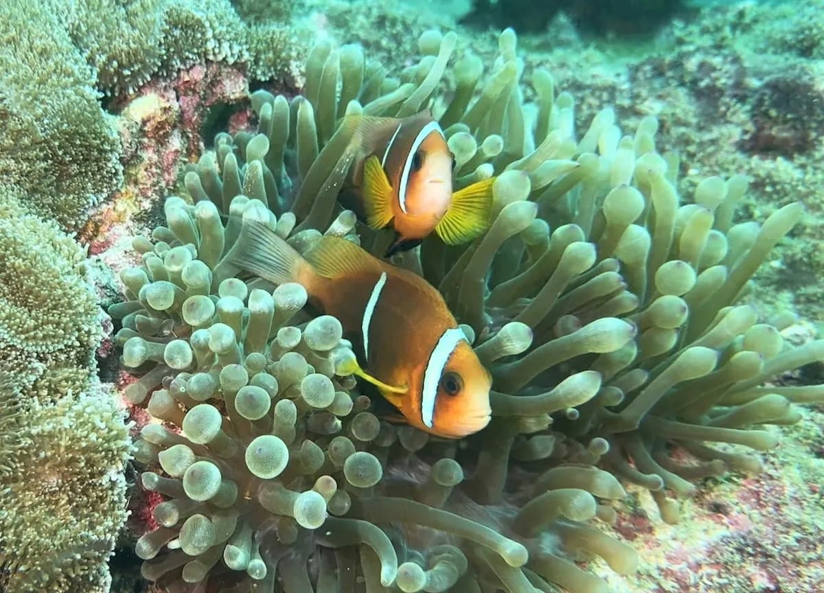 No alternative text provided No alternative text provided