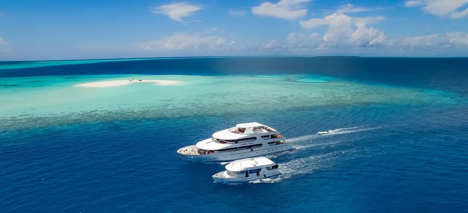 Carpe Vita - image Carpe Vita - image