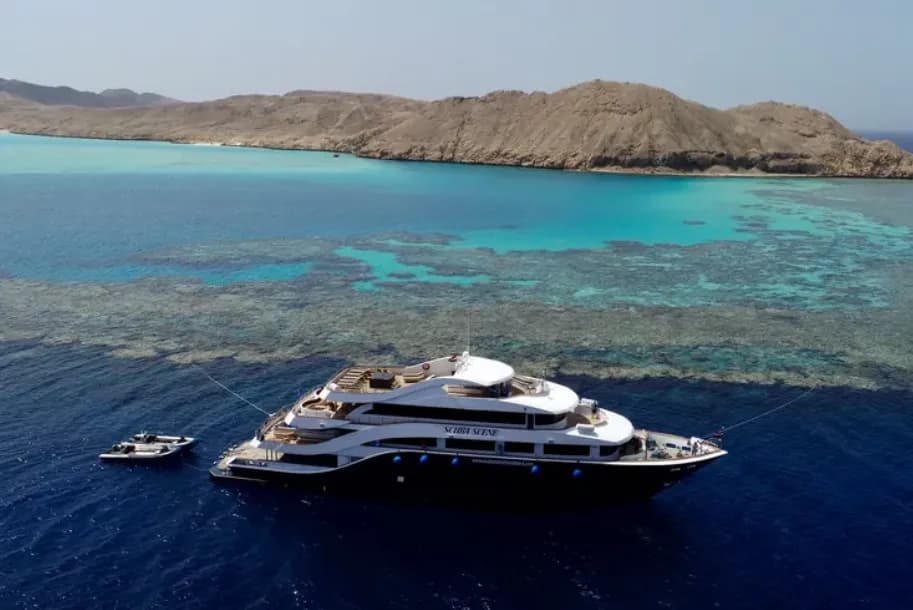 All Star Red Sea - image All Star Red Sea - image