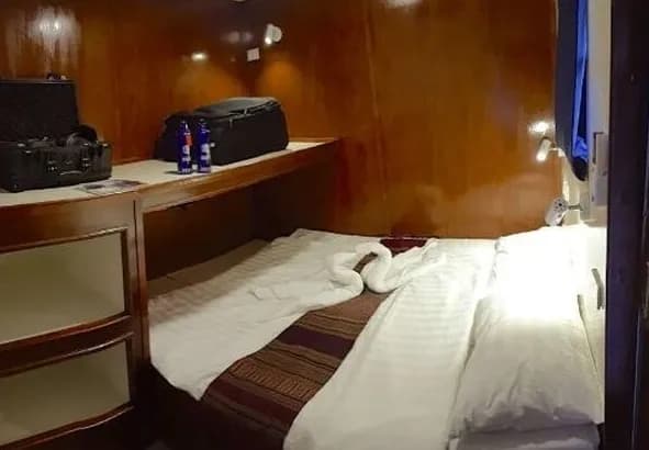 The Smiling Seahorse The Smiling Seahorse