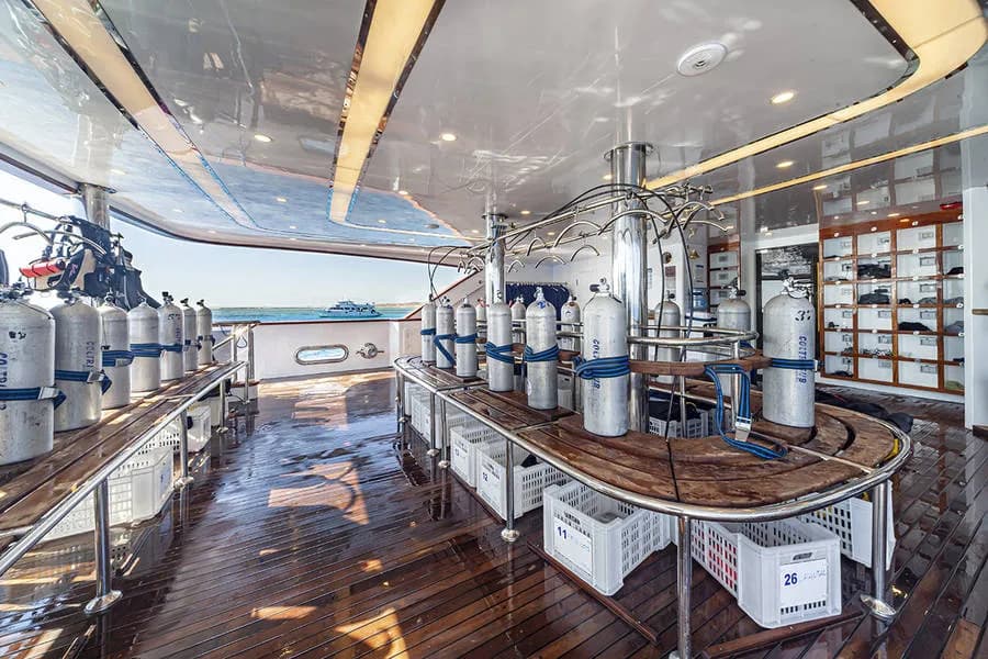 Silky Egypt - image Silky Egypt - image