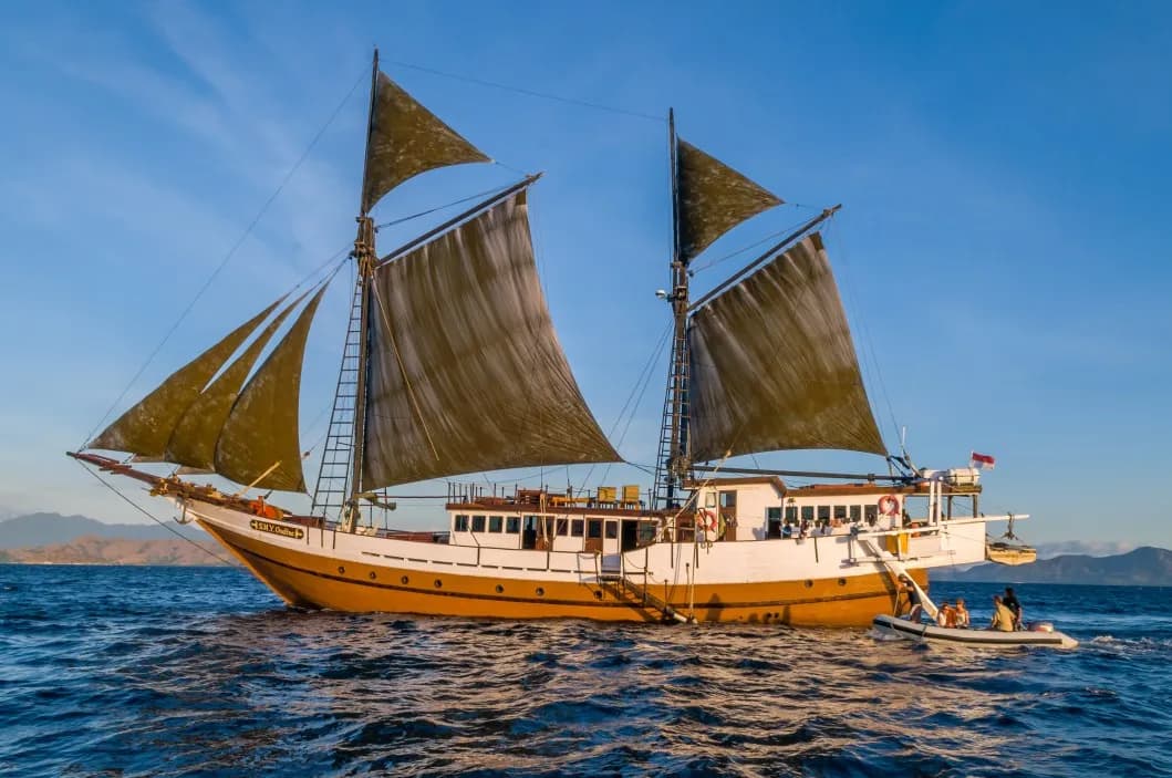 No alternative text provided No alternative text provided