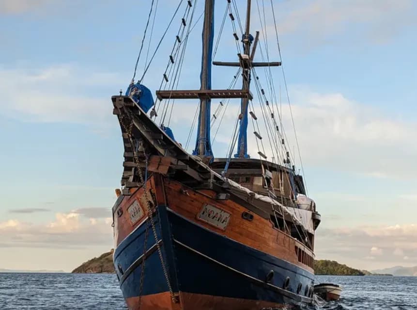 Moana - image Moana - image