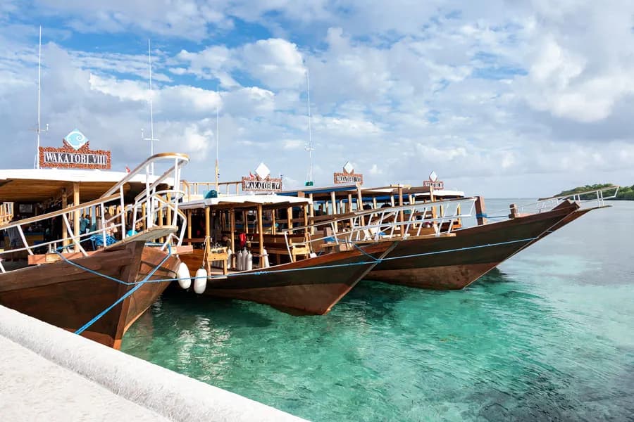 Wakatobi Dive Resort - image Wakatobi Dive Resort - image