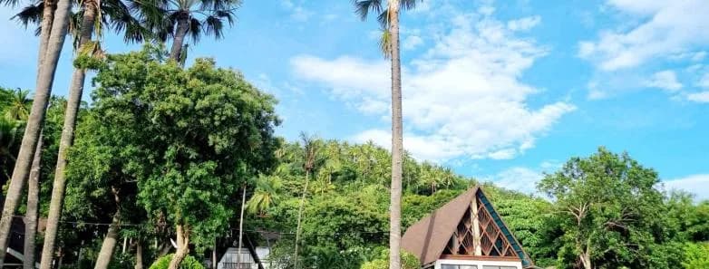 Carousel - image Carousel - image