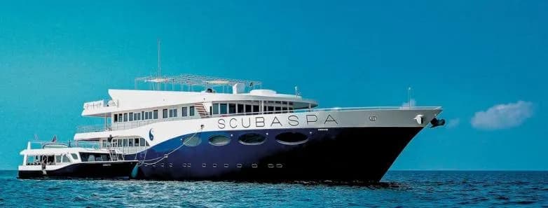 No alternative text provided No alternative text provided