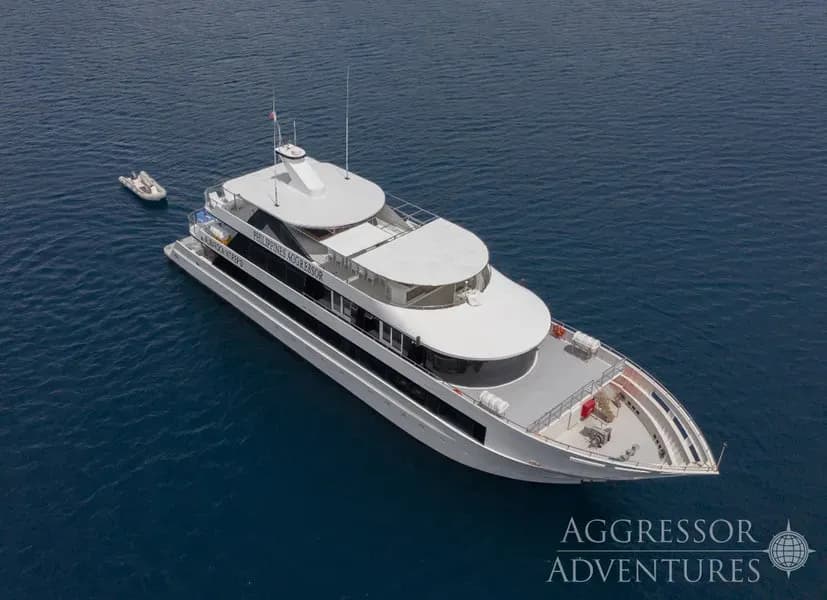 Carousel - image Carousel - image