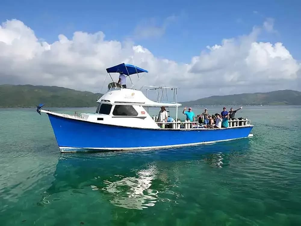 Carousel - image Carousel - image