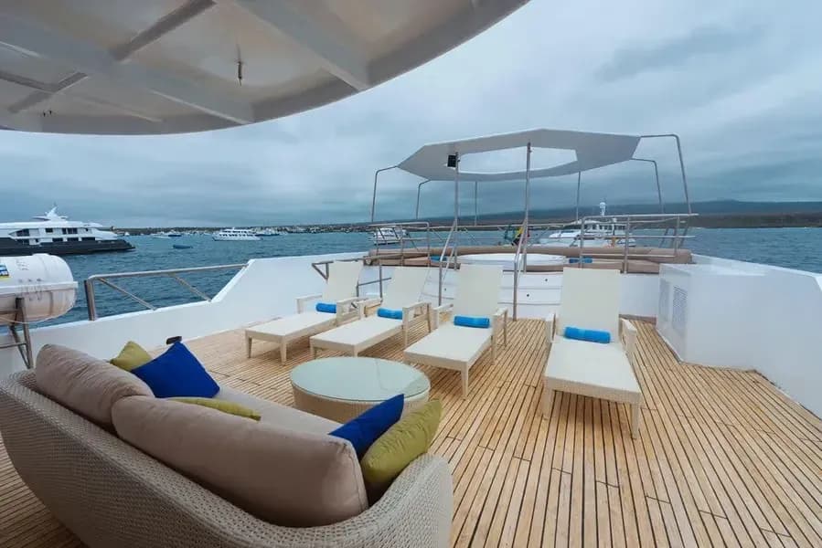 Carousel - image Carousel - image