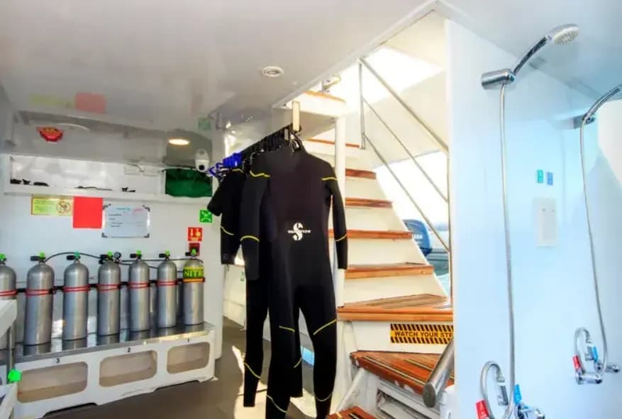 Carousel - image Carousel - image