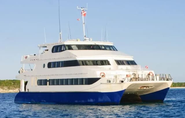 Aqua Cat Special October 2025 Aqua Cat Special October 2025