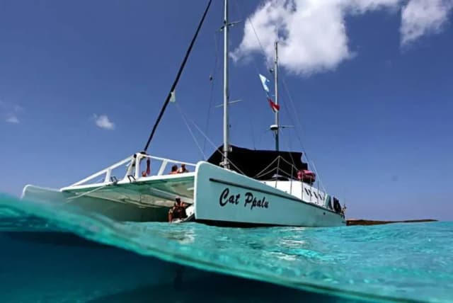 Cat Ppalu Special October 2025 Cat Ppalu Special October 2025