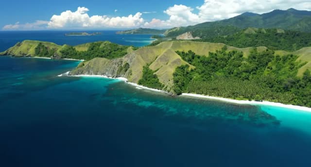 Tompotika Dive Lodge Special November 2025 Tompotika Dive Lodge Special November 2025