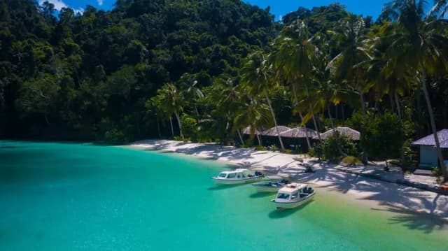 Triton Bay Divers Special November 2025 Triton Bay Divers Special November 2025