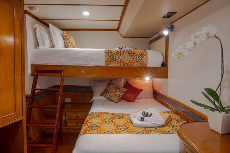 Lower Deck cabin Lower Deck - image Lower Deck cabin Lower Deck - image