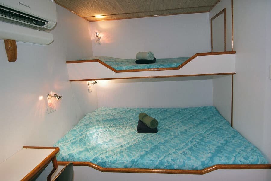 Standard Lower Deck - image Standard Lower Deck - image